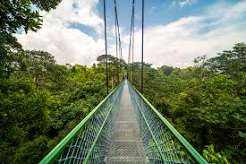 TreeTop Walk, MacRitchie