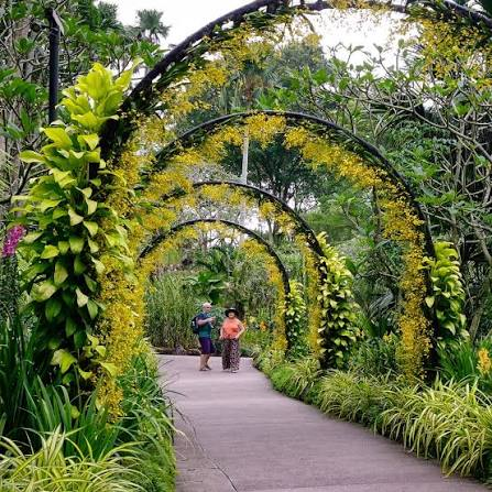 National Orchid Garden